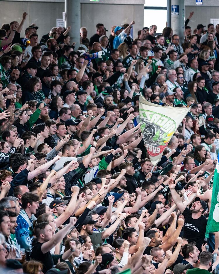 Steelers erhalten DEL2 Lizenz