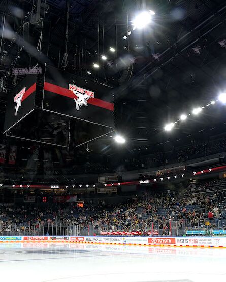 Steelers unterliegen den Kölner Haien mit 3:7