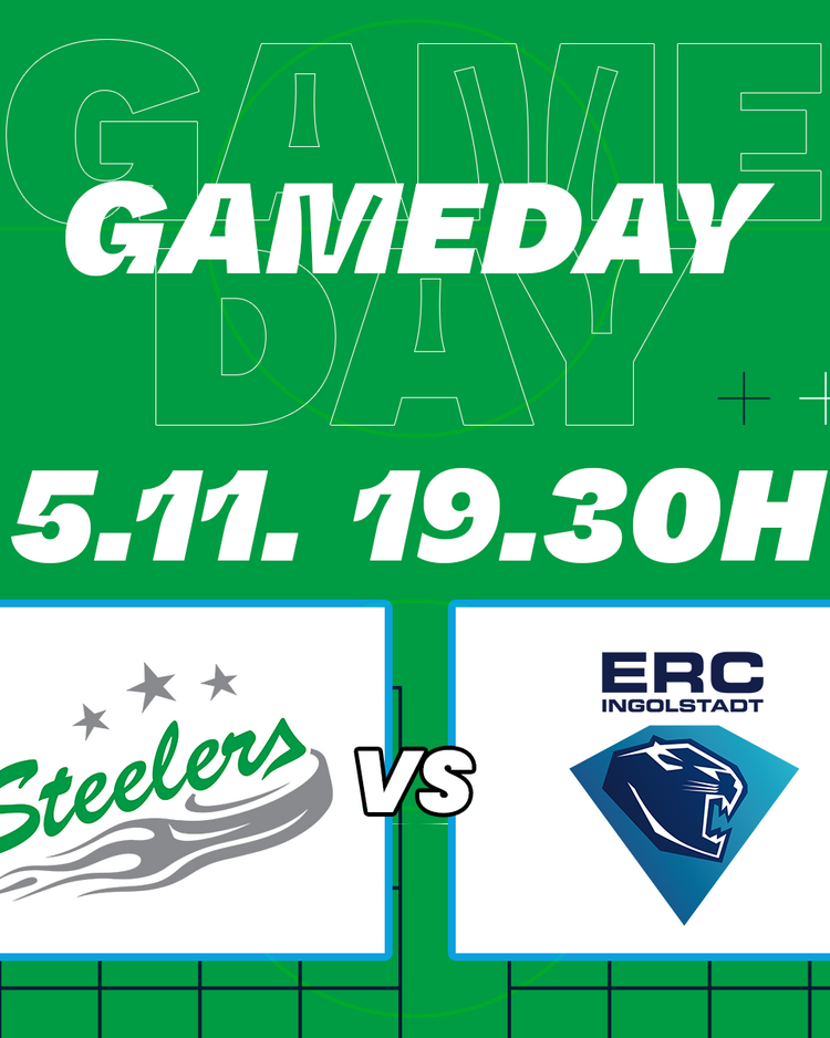 Gameday – die Ingolstadt Panther kommen ins Ellental