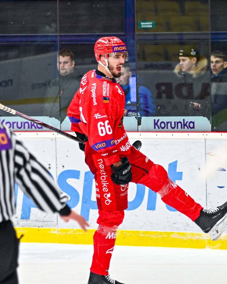 Steelers verpflichten Jan Veselý