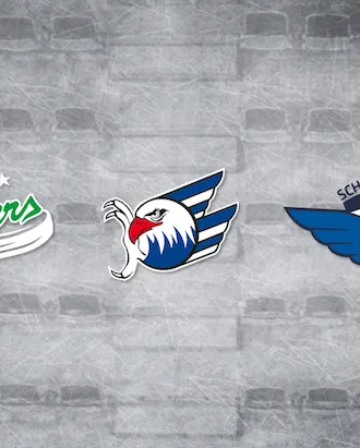 Gemeinsame Presseerklärung der DEL-Clubs aus Baden-Württemberg 