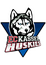EC Kassel Huskies