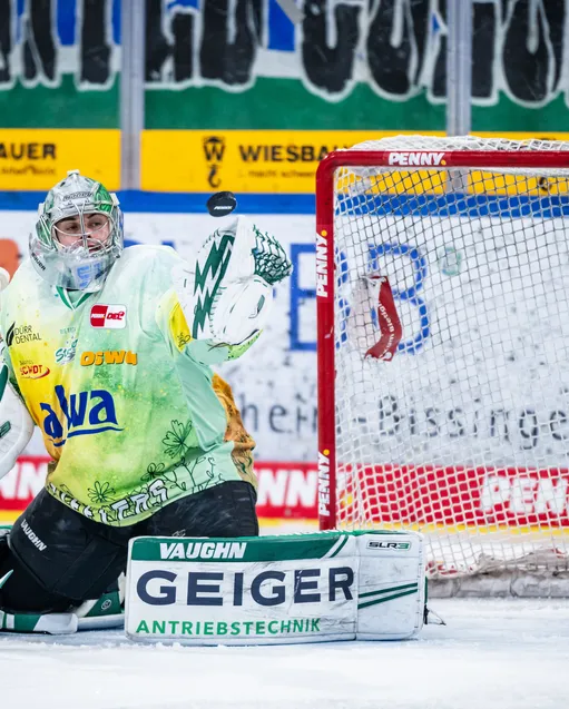 Frühlingstrikots - aktuellen Gebote 16.02.2023